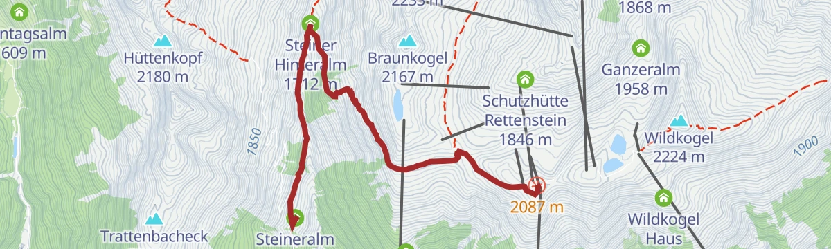Route map: Neukirchen: Bergstation Wildkogelbahn - Steineralm
